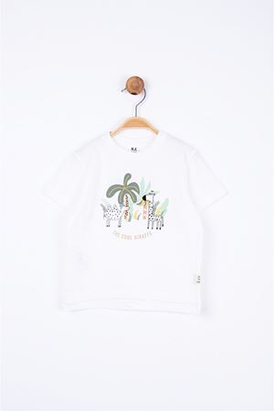 NK KIDS 44601-SAFARİ TS.12/36