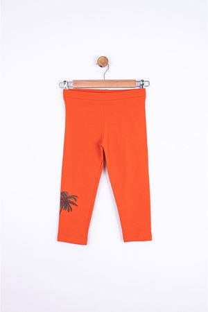 NK Kids 54328-PALMİYE TAYT 8/14