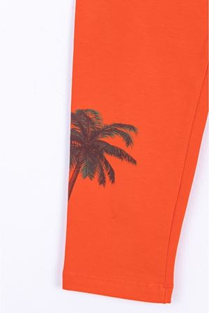 NK Kids 54328-PALMİYE TAYT 8/14