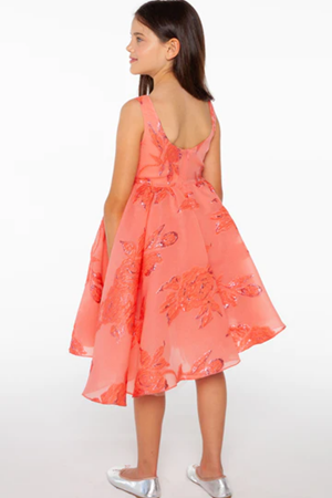 Sheshe  DSL0311-Somon Jakar Elbise