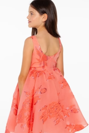 Sheshe  DSL0311-Somon Jakar Elbise