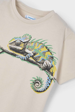 MAYORAL 03045-90 GRİ T-SHIRT ERKEK 4/9