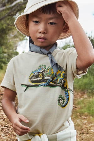 MAYORAL 03045-90 GRİ T-SHIRT ERKEK 4/9