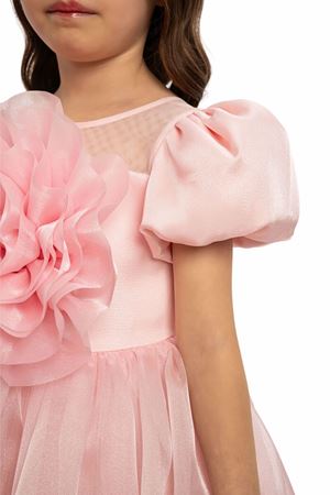 PAMİNA 35109PR 43 / 35109PR 3/7 PUDRA ELBİSE