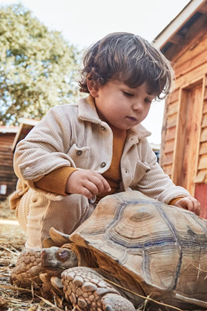 MAYORAL 02105-51 BEJ ORGU GOMLEK1/3YAŞ 